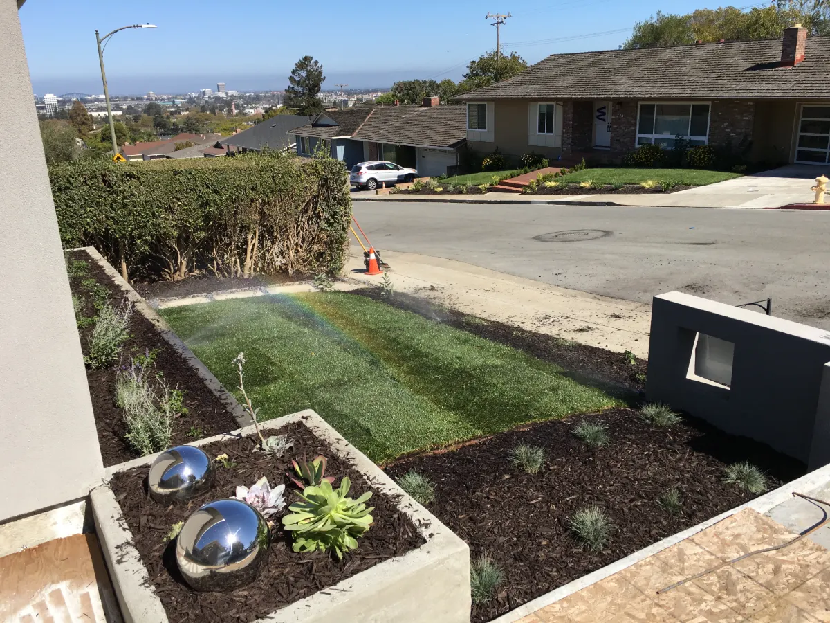 Front yard landscaping project in Hillsdale, San Mateo with new lawn, mulched beds and succulent planters